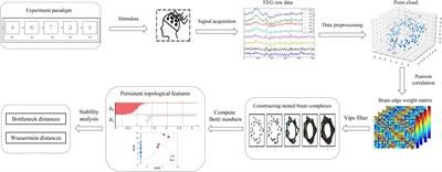 Method for persistent topological features extraction of schizophrenia patients’ electroencephalography signal based on persistent homology